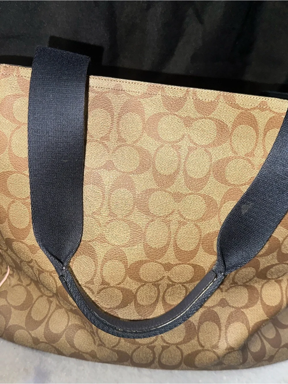 Coach Signature Canvas Tote with Brown and Green Trim